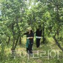(주)여가투어 이미지