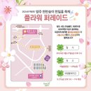 천일홍축제 | 서울 근교 양주나리농원 천일홍 축제 방문 후기 주차정보
