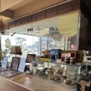 까사부사노 광안점 | 까사 부사노/광안점/내돈내산/솔직후기