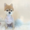 도그허니 이미지