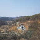 영성조경 이미지