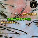 숲칼프 동대구역점 이미지