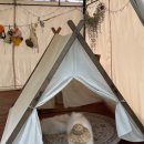 해피독 애견펜션 이미지