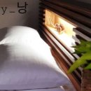 스테이낭 이미지