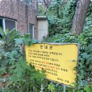 꽃피는산골 이미지