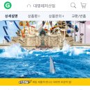 대명 오션파크(구.테딘) 할인하네요 이미지