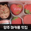보곤다 이미지