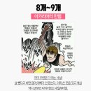 (주)바디채널 여의도 이미지