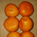 # 금포국민학교졸업 장세영이용소 금빛대학졸업.&amp; 이미지