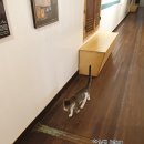강천초강남분교장 | 여성리더 워크샵은 여주 여성생활사박물관 방문 후기