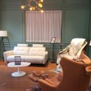 세라젬 대전둔산점 이미지