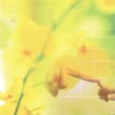 연제큰꿈작은도서관 이미지