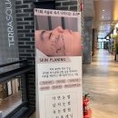 모마무드