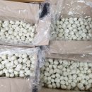 정관유치원 이미지