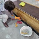 세정건축환경