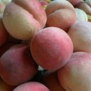 산새사슴농장 이미지