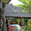 숲의조각 이미지