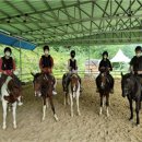 태백승마클럽 이미지