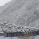 두뫼산골 형제 홍삼원