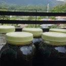 상중농장 이미지