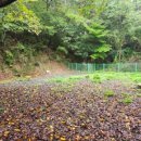 오리 베이커리 이미지