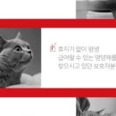 메디코 이미지