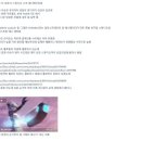 스튜디오글 이미지