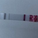 노산동물병원 | 노산 비만 여성의 임신 도전기 - 1(배란유도제 클로미펜, 난포 주사, 난포 터지는 주사 후기)