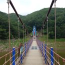 청양센터-006 | 20170709 궁남지연꽃축제+부소산성+천장호출렁다리