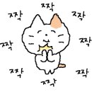 살롱 드 셀레네