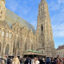 937 | 오스트리아 비엔나 직항 대한항공 KE937 기내식 후기 특가 항공권 예약