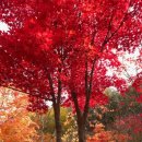 소요산1 | 소요산 산행 후기, 의상대 (1)