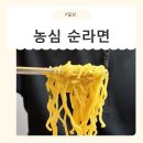 오직라면 | 농심 순라면 비건라면 솔직 후기