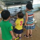 행구농장 이미지