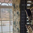 구월아시아드선수촌센트럴자이아파트 | 남동구 아시아드 선수촌 센트럴 자이 아파트