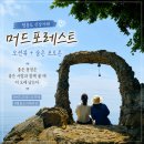 카페포레스트 - 원주시 행구로 499 | 영흥도 신상카페/머드포레스트 솔직후기/오션뷰와 숨어있는 비밀 포토존