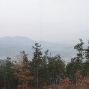 봉1리 경로당 티스토리