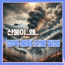 경북 봉화 산불 발생, 하루 만에 700헥타르 태운 강풍 속의 화마