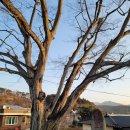 학동마을회관 이미지