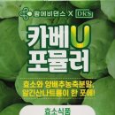 365열린큰약국 이미지