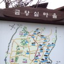 [한국의 아름다운 숲 27] 경북 예천 금당실숲 이미지