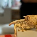 광표농장 이미지