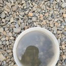 위드유 펜션 이미지