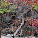 양평-용문-용문-4 이미지