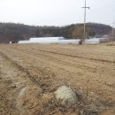 동제농장 이미지