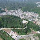 매화공원 이미지