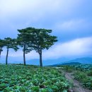 여명공원 이미지