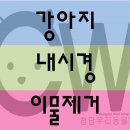 희성동물병원 이미지