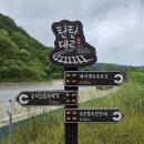 2026.6.20(토)~21(일) 1박2일, 국토횡단 도보여행(태백~도계) 18km~ 둘째날 이미지