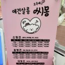 애견살롱 씨몽 이미지